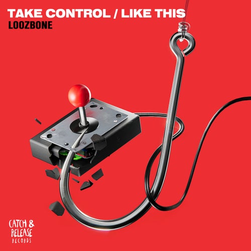 Take Control and Like This cover